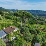 Apartman Il Pino By Tuscanhouses Camaiore