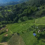 Il Pino By Tuscanhouses
